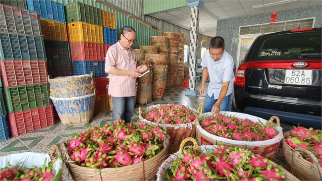 Doanh nghiệp nông sản “loay hoay” khi Trung Quốc mở cửa khẩu (17/1/2023)