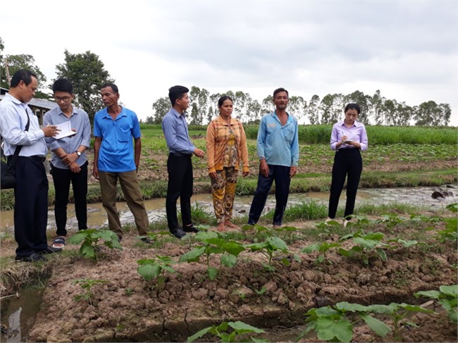 Đón Xuân Quý Mão 2023 gặp gia đình anh Danh Giang, nông dân Khmer sản xuất giỏi (16/1/2023)