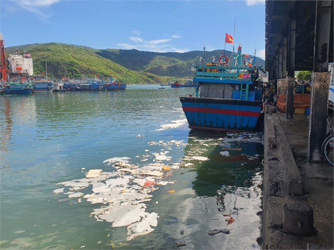 Xử lý dứt điểm ô nhiễm môi trường ở cảng cá Quy Nhơn (25/10/2023)