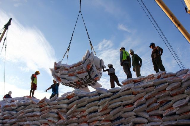 Việt Nam và Thái Lan - hai nguồn cung lớn nhất cho lô hàng nhập khẩu gạo mới của Indonesia( 10/10/2023) 