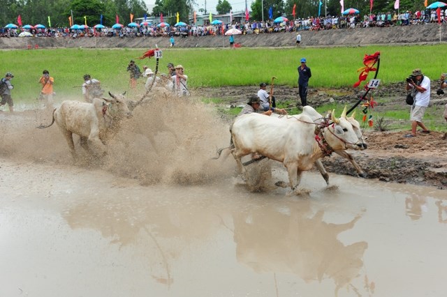       An Giang: tổ chức nhiều hoạt động văn hóa, thể thao dịp lễ Senl Đolta của đồng bào Khmer (03/10/2023)