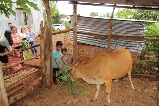 Gia Lai: Trao sinh kế cho trẻ em hoàn cảnh khó khăn (23/10/2023)