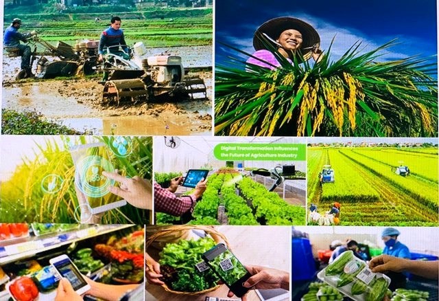 100 nông dân Việt Nam xuất sắc: Mẫu hình người nông dân mới (13/10/2023)