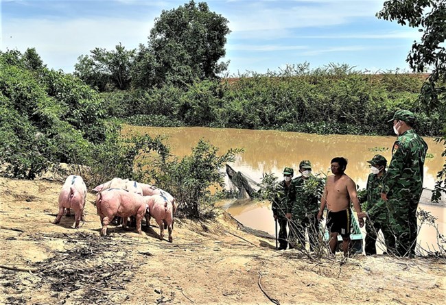 Cần ngăn chặn nhập lậu vật nuôi vào nước ta (23/10/2023)