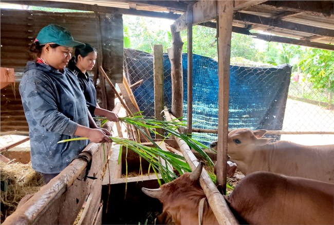 Hiệu quả Quỹ Tiết kiệm làm theo lời Bác ở Đắk Lắk (05/10/2023)