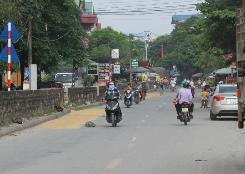 Phơi thóc giữa đường, lợi bất cập hại