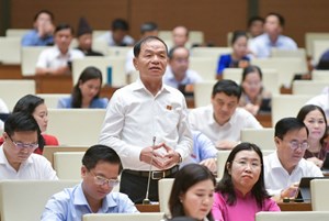 Quốc hội: Quy định hệ số điều chỉnh, đảm bảo giá đất được công khai, minh bạch (03/11/2023)