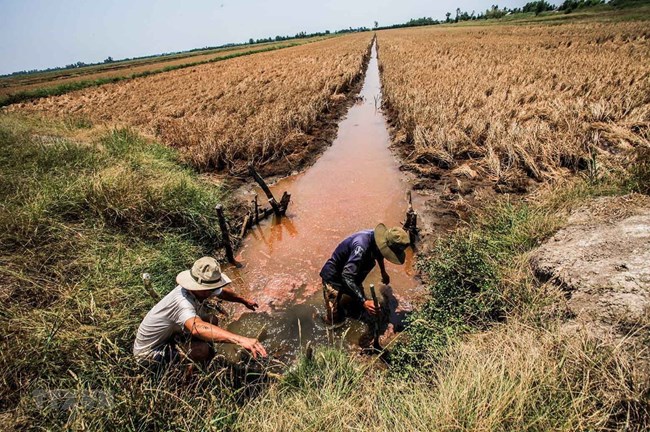 Giải pháp ứng phó và sống chung với hạn mặn gay gắt (11/11/2023)