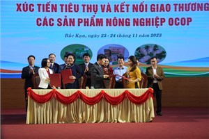 Kết nối giao thương khu vực, cơ hội cho sản phẩm công nghiệp nông thôn Bắc Kạn (24/11/2023)
