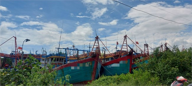 Tiền Giang: Cần tạo điều kiện cho hơn 150 tàu cá nằm bờ lâu ngày (26/11/2023)
