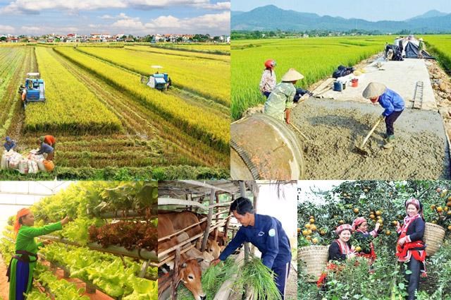 Tăng phân cấp, trao niềm tin (03/12/2023)