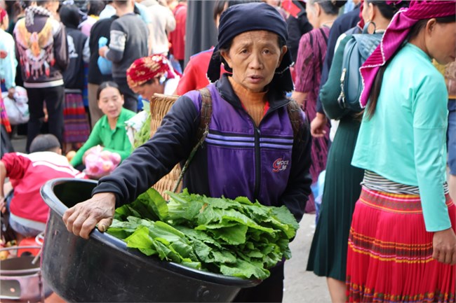 Lên cao nguyên đá đi chợ phiên Mèo Vạc (14/12/2023)