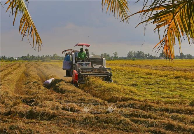 THỜI SỰ 21H30 ĐÊM 3/12/2023: Tốc độ tăng trưởng kinh tế (GRDP) của tỉnh Hậu Giang năm nay dẫn đầu khu vực ĐBSCL và xếp thứ 2 cả nước.