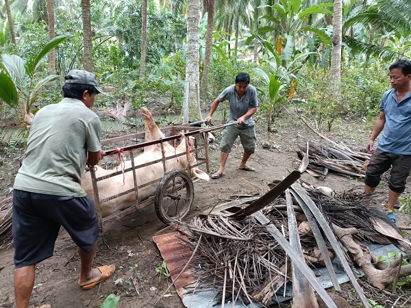 Tập trung khống chế, bao vây mầm bệnh tả heo Châu phi tại “điểm nóng” Xuân Đông, Tiền Giang (14/12/2023)