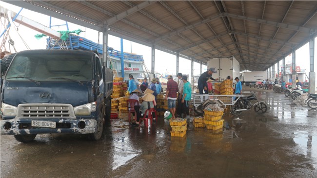 Sóc Trăng: Chấm dứt tàu cá ngư dân vi phạm các vùng biển nước ngoài (23/3/2023)