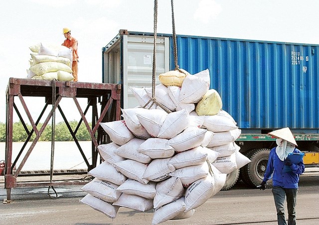 THỜI SỰ 12H TRƯA 13/3/2023: Giá gạo xuất khẩu của Việt Nam tăng cao nhất trong gần 2 năm qua.
