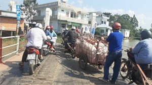    Tiền Giang: Thị heo rớt giá kéo dài, người chăn nuôi thua lỗ (17/3/2023)