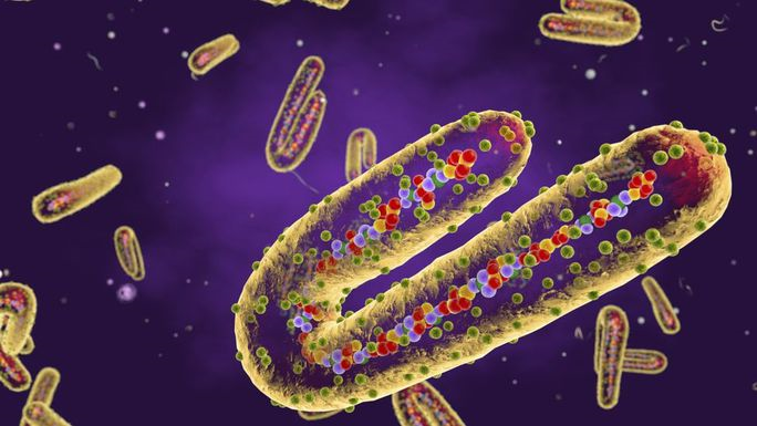 Guinea Xích đạo xác nhận thêm 6 người nhiễm virus Marburg (16/04/2023)