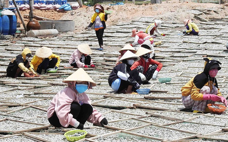 Hiệu quả đào tạo nghề và tạo việc làm cho lao động nông thôn ở Ninh Thuận (24/4/2023)