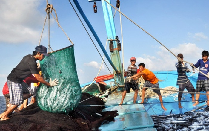 THỜI SỰ 21H30 ĐÊM 10/5/2023: Bộ Nông nghiệp và Phát triển nông thôn khẳng định, việc Trung Quốc thông báo tạm ngừng đánh cá là không có giá trị