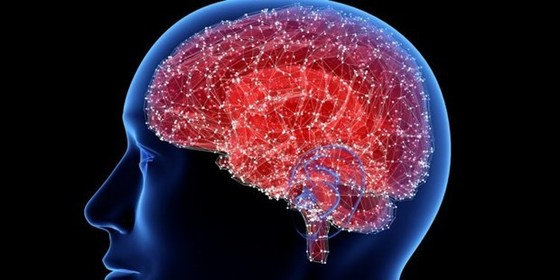 Hội chứng Covid-19 kéo dài ảnh hưởng tới não (03/05/2023)