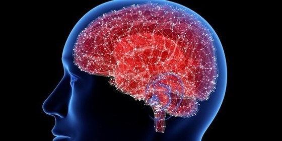 Hội chứng Covid-19 kéo dài ảnh hưởng tới não (03/05/2023)