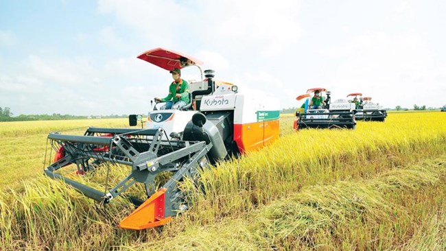 Những thay đổi lớn từ ứng dụng các giải pháp khoa học kĩ thuật vào canh tác bền vững ở vùng trồng lúa tỉnh Kiên Giang (12/5/2023)