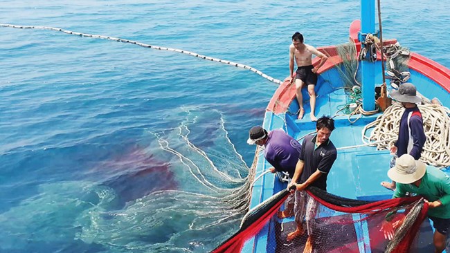 Cuối tháng này, Đoàn công tác Bộ Nông nghiệp sẽ sang và làm việc trực tiếp với EC về việc gỡ thẻ vàng thủy sản (23/5/2023)