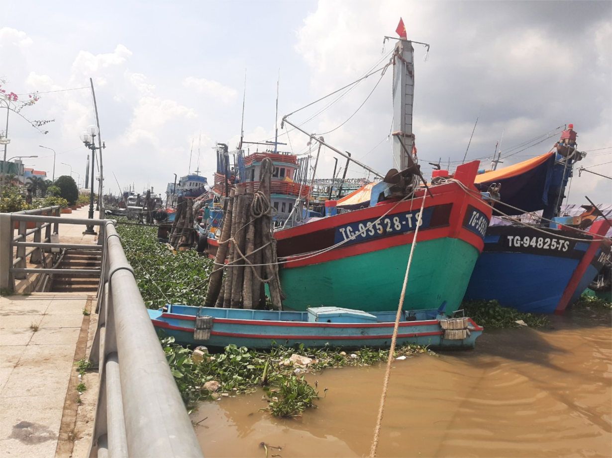 Tiền Giang: Ngư dân chấp hành các quy định chống khai thác thủy sản bất hợp pháp (22/5/2023)