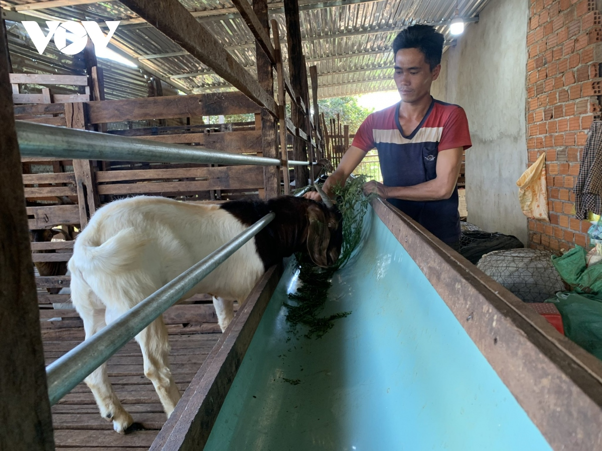 Gia Lai: Nông thôn mới trong vùng dân tộc thiểu số đang dần khởi sắc (24/6/2023)