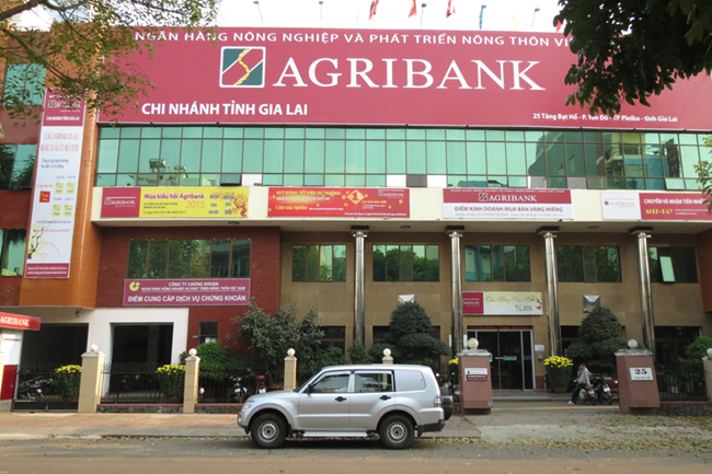 Nông dân Gia Lai làm giàu nhờ nguồn vốn ưu đãi Agribank (13/06/2023)