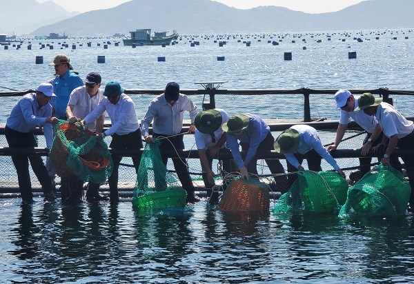 Nuôi biển công nghiệp gắn bảo vệ môi trường, tích hợp phát triển đa ngành (05/07/2023)