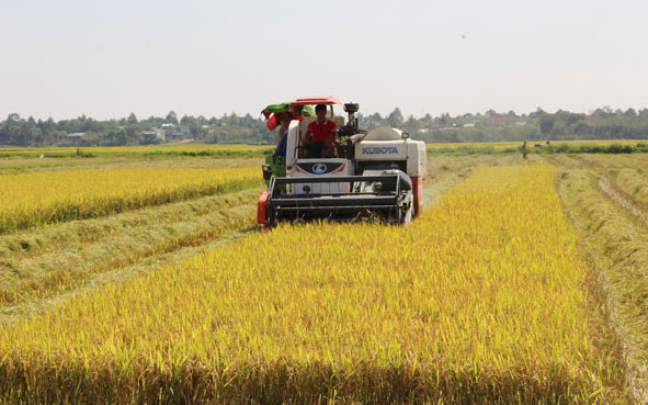 THỜI SỰ 21H30 ĐÊM 18/7/2023: Lần dầu tiên Đắk Lắk có sản phẩm gạo đạt chứng nhận hữu cơ.
