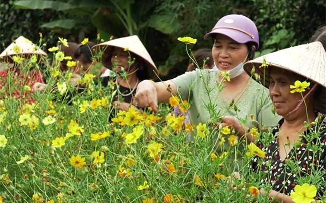 Yên Bái nâng cao 