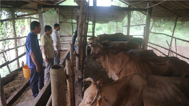 Ông Sơn Lộc thương binh người dân tộc Khmer vượt khó làm kinh tế giỏi (21/7/2023)