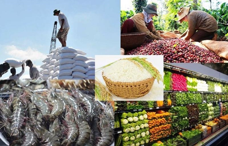 7 tháng, xuất khẩu nông lâm, thủy sản vào các nước ASEAN tăng mạnh (29/7/2023)