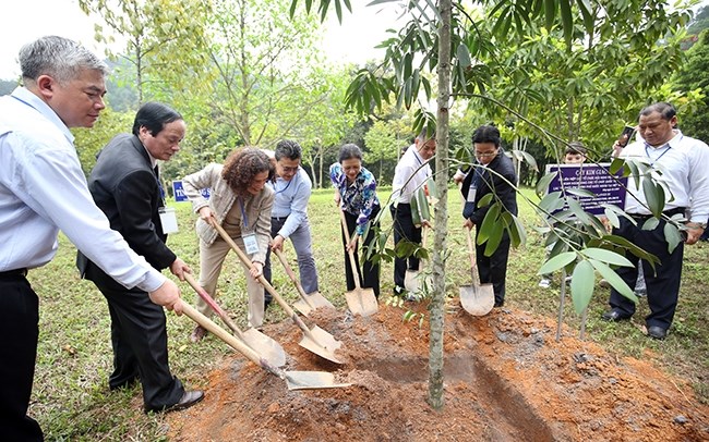 Đổi mới, nâng cao hiệu quả hoạt động công tác đối ngoại nhân dân (19/7/2023)