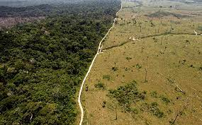 Hội nghị cấp cao về bảo vệ rừng Amazon: chạy đua cứu rừng nhiệt đới lớn nhất thế giới (10/7/2023)