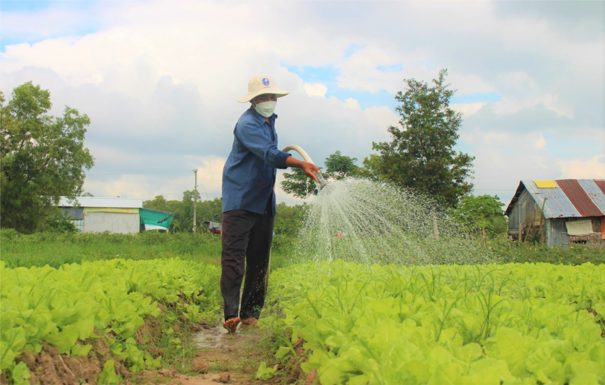 ĐBSCL: Cần bước đột phá giải bài toán 