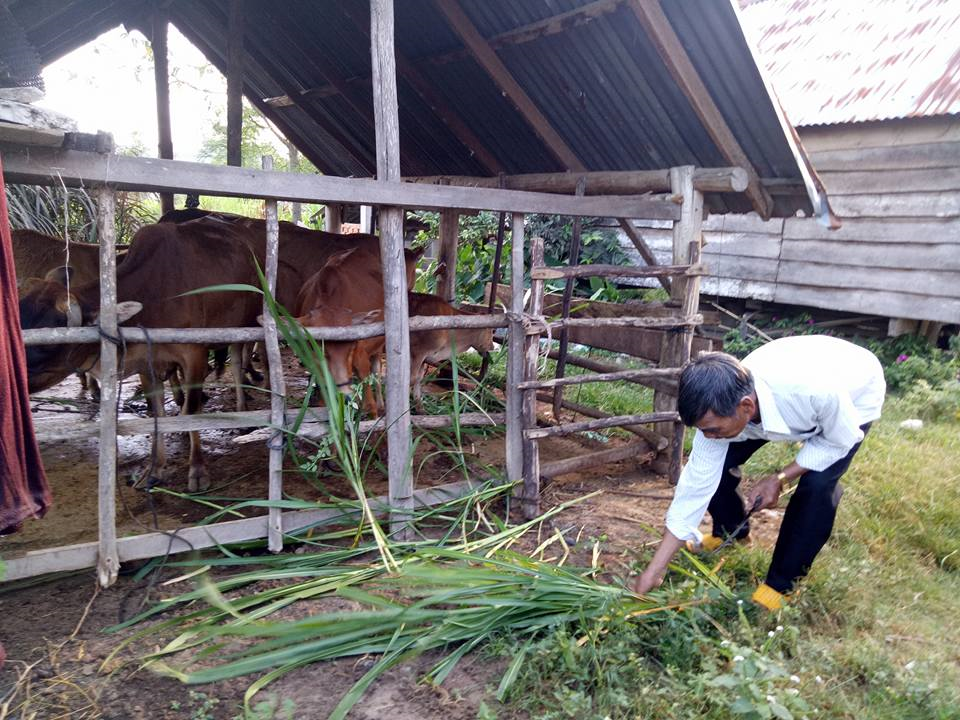 Đắk Lắk chăm lo đời sống cho đồng bào dân tộc thiểu số (30/8/2023)