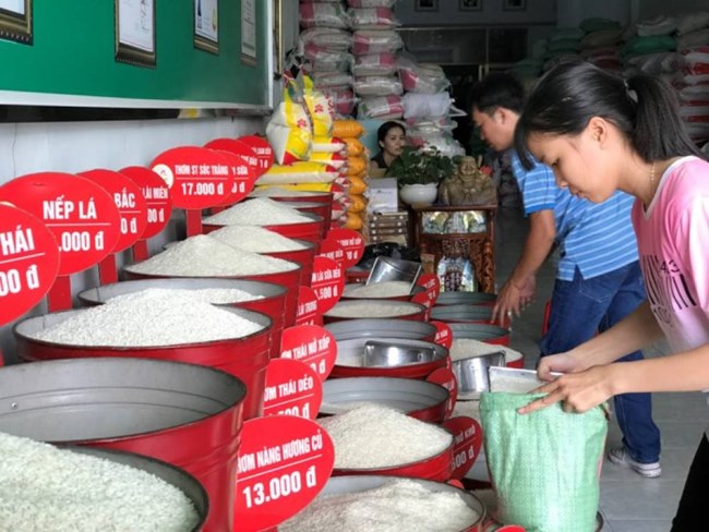 Xử lý nghiêm tình trạng đầu cơ đẩy giá lúa gạo tăng cao (15/8/2023)