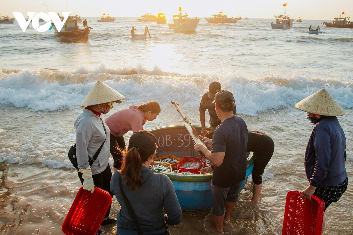 Ngư dân Quảng Bình làm giàu từ biển, tuân thủ quy định khai thác (07/8/2023)