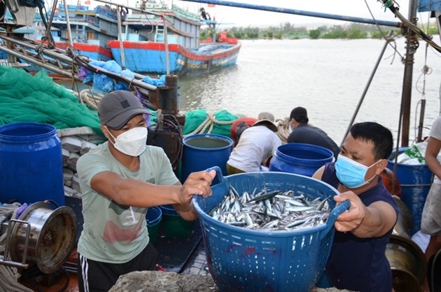 THỜI SỰ 6H SÁNG 06/8/2023: Các địa phương khẩn trương thực hiện các biện pháp mạnh chống khai thác hải sản bất hợp pháp, không báo cáo và không theo quy định 