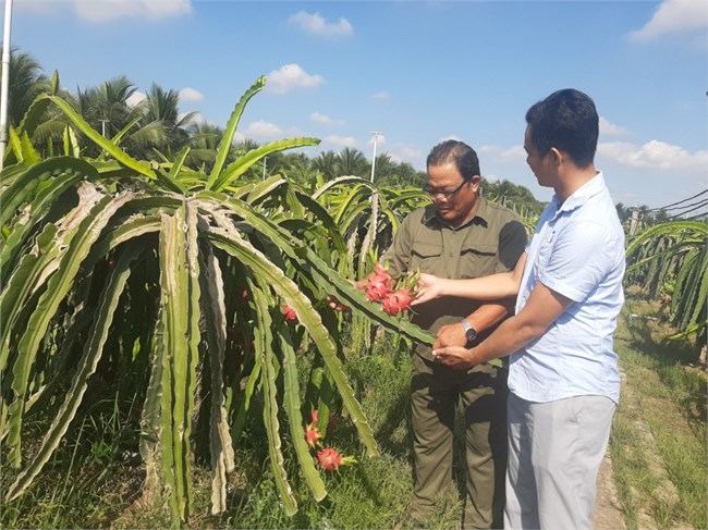 Tiền Giang: Mỗi năm có gần 1.000 người cao tuổi sản xuất giỏi được biểu dương (01/8/2023)