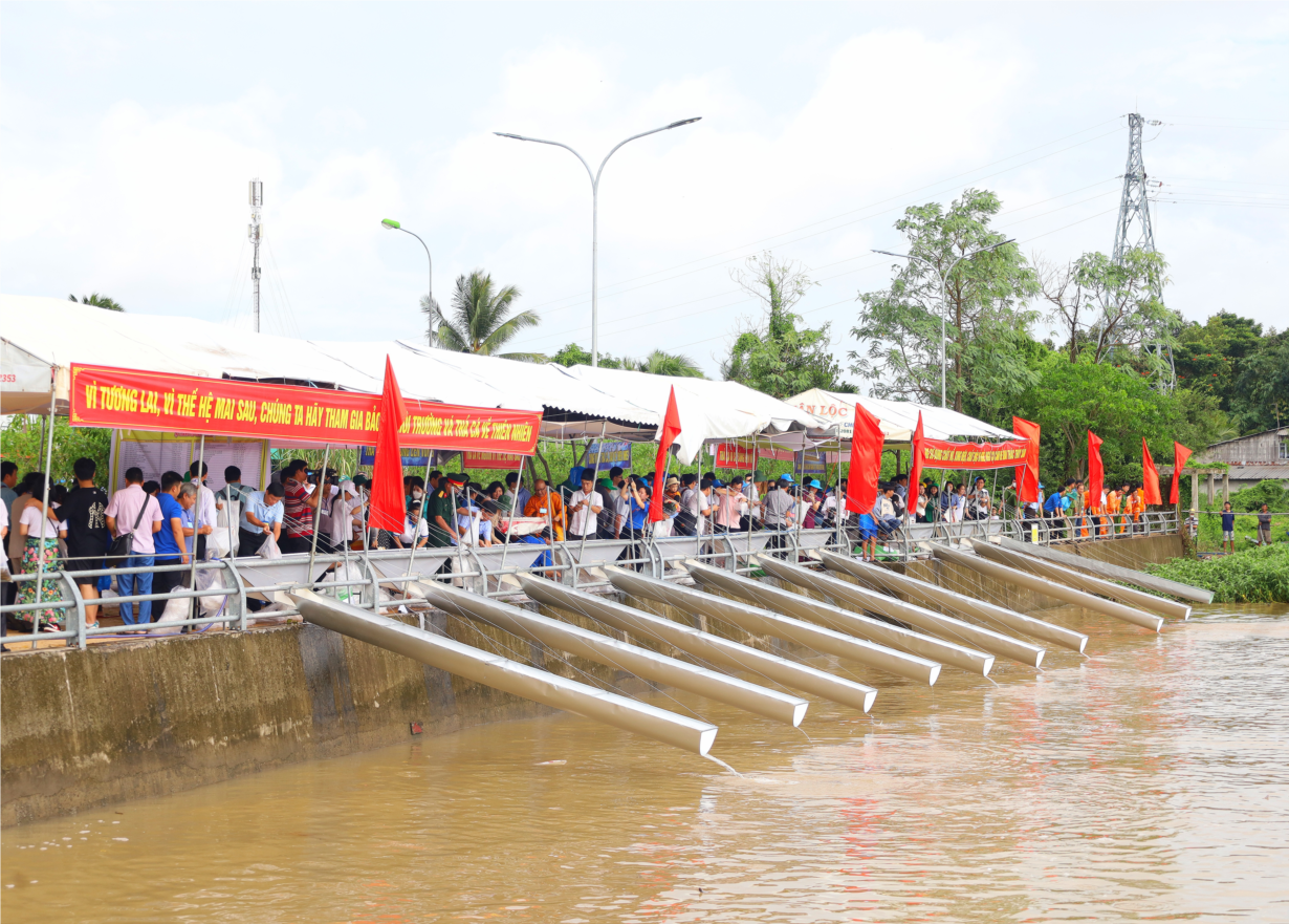THỜI SỰ 18H CHIỀU 1/9/2023: Hơn 1 triệu con cá giống được thả xuống sông Hậu để tái tạo nguồn lợi thủy sản.