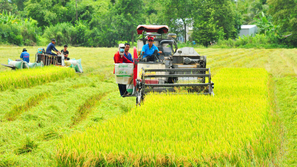 THỜI SỰ 18H CHIỀU 28/9/2023: Uỷ ban thường vụ Quốc hội đề nghị quản lý nghiêm diện tích đất trồng lúa.