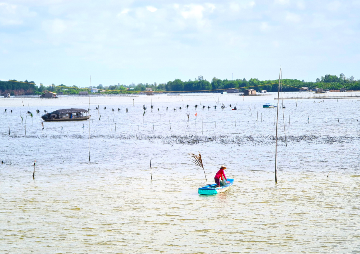 Đầm Thị Tường – Điểm hẹn du lịch chưa được đầu tư của Cà Mau (19/9/2023)