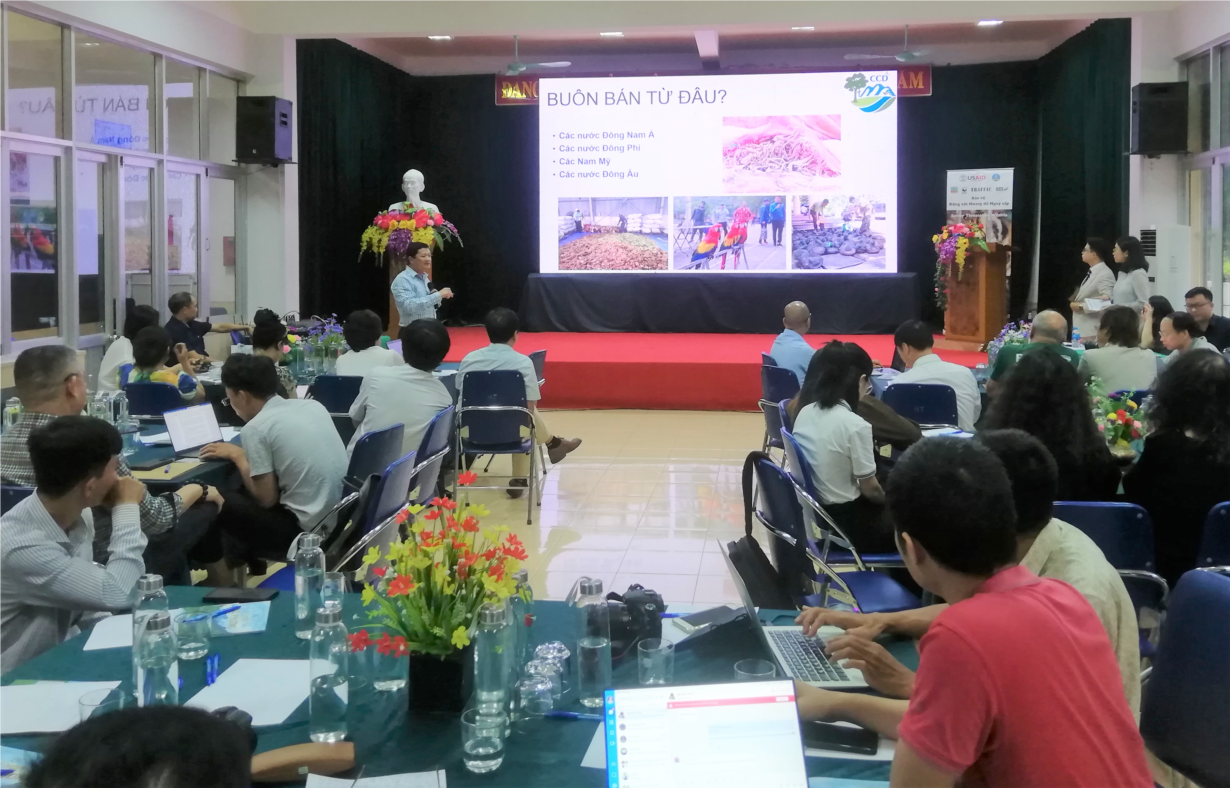 Chung tay phòng chống nạn buôn bán động vật hoang dã (28/9/2023)