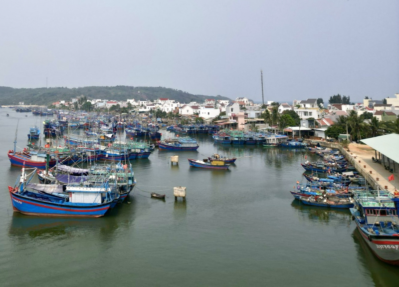 Bộ NN&PTNT: Chống khai thác IUU, tăng cường quản lý đội tàu ở các địa phương (5/9/2023)