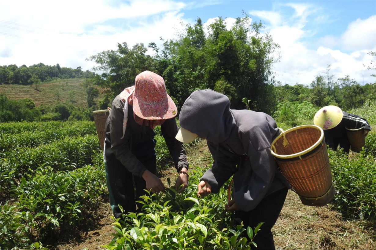 Kon Tum: Đồng hành gỡ khó hỗ trợ doanh nghiệp phát triển (28/9/2023)